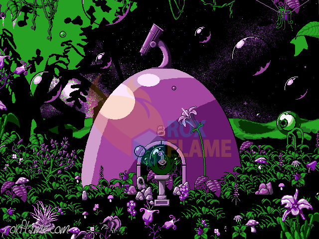 Rox Flame - Wellington New Zealand Artist