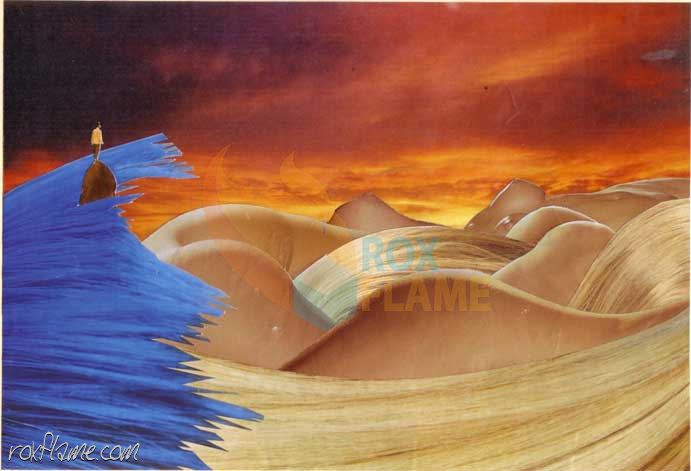 Rox Flame - Wellington New Zealand Artist